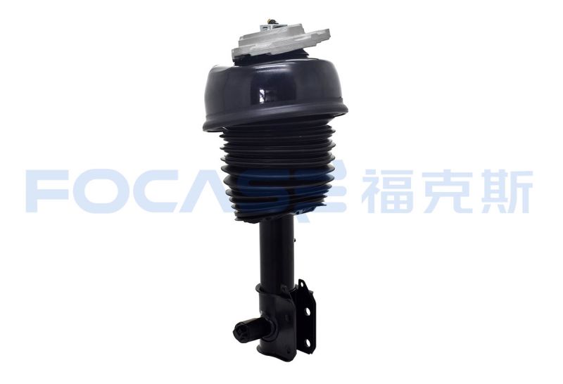 Air Suspension Shock